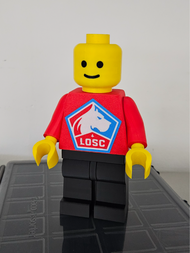 ⚽ Playmobil LOSC – Figurine 20 cm imprimée en 3D ⚽